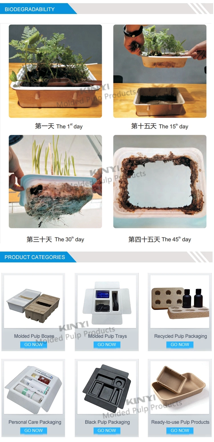 Custom Wet Press White Sugarcane Moulded Pulp Packaging Tray Cosmetics and Skincare Packaging Tray