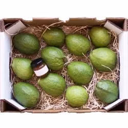 Коробки банана коробки доставки плодоовощ двойной стены напечатанные цветом упаковывая